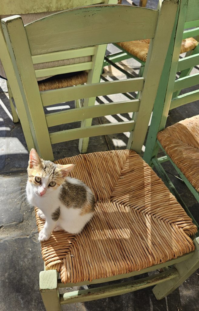 Faschingsdienstag in der 5a